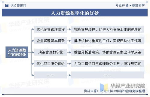中国人力资源数字化行业现状 HR SaaS风头日盛
